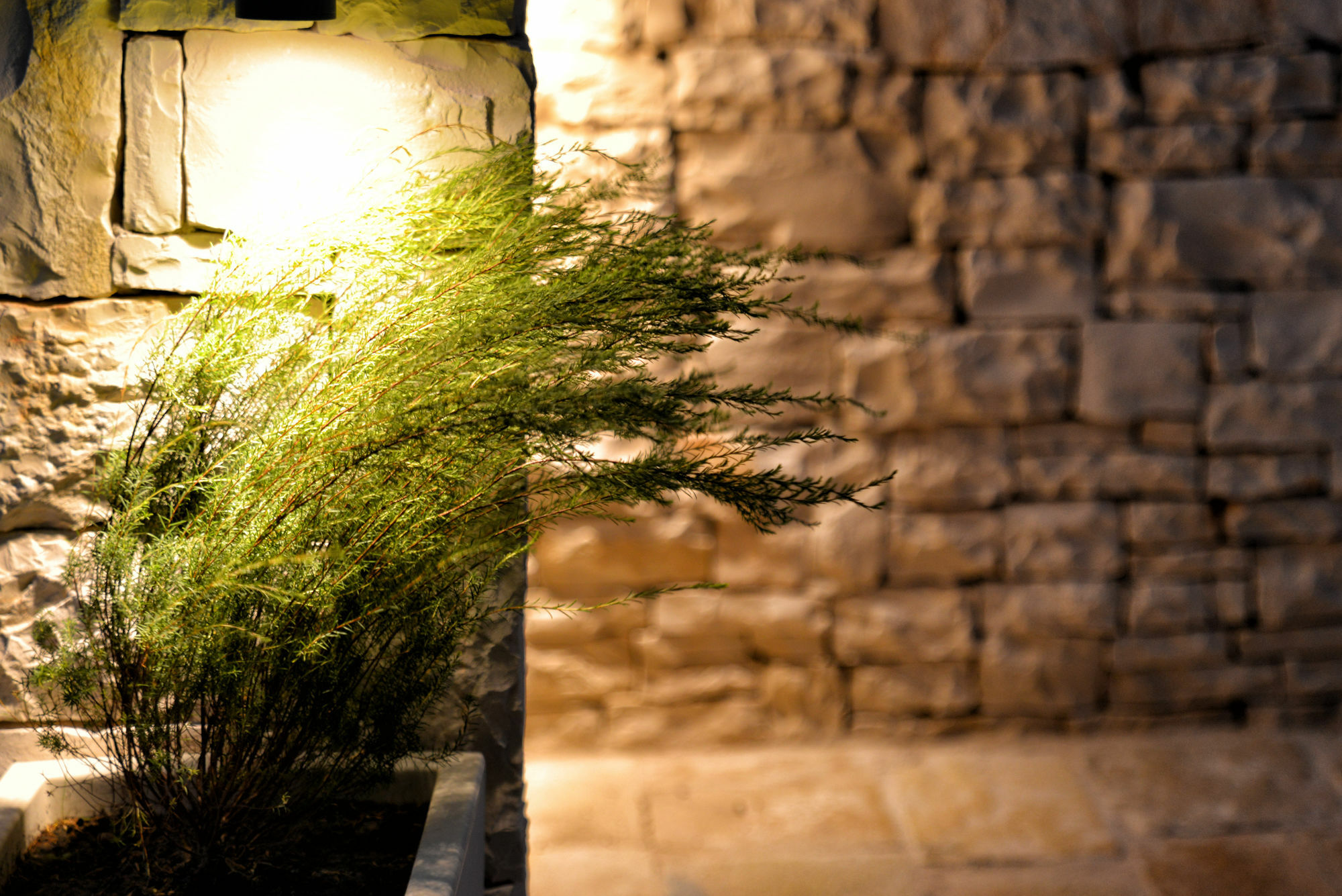 Agriturismo Nonna Rosa Matera Eksteriør bilde